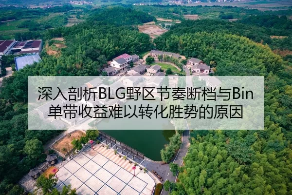 深入剖析BLG野区节奏断档与Bin单带收益难以转化胜势的原因