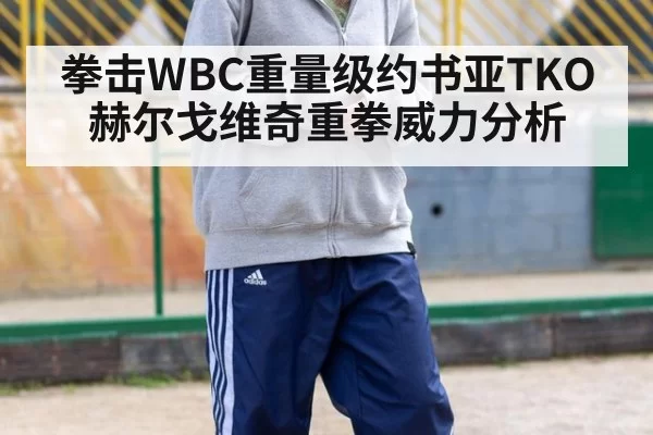 拳击WBC重量级约书亚TKO赫尔戈维奇重拳威力分析